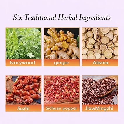 Hanpo Japanese Herbal patch